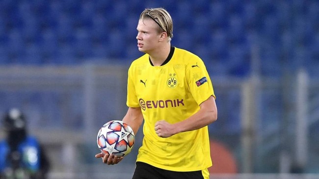 例参